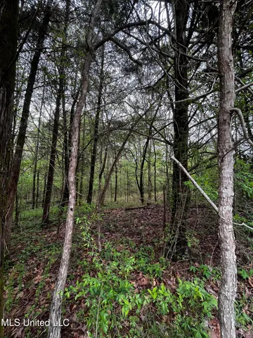 $44,800 | 990 Conley, Gore Springs, MS 38929