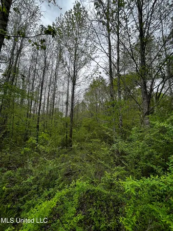 $44,800 | 990 Conley, Gore Springs, MS 38929