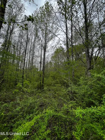 $44,800 | 990 Conley, Gore Springs, MS 38929