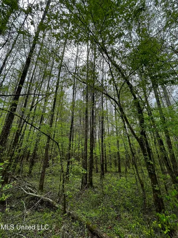 $44,800 | 990 Conley, Gore Springs, MS 38929