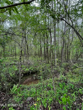 $44,800 | 990 Conley, Gore Springs, MS 38929