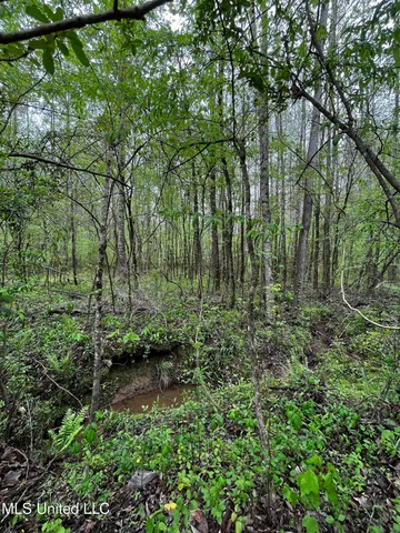 $44,800 | 990 Conley, Gore Springs, MS 38929