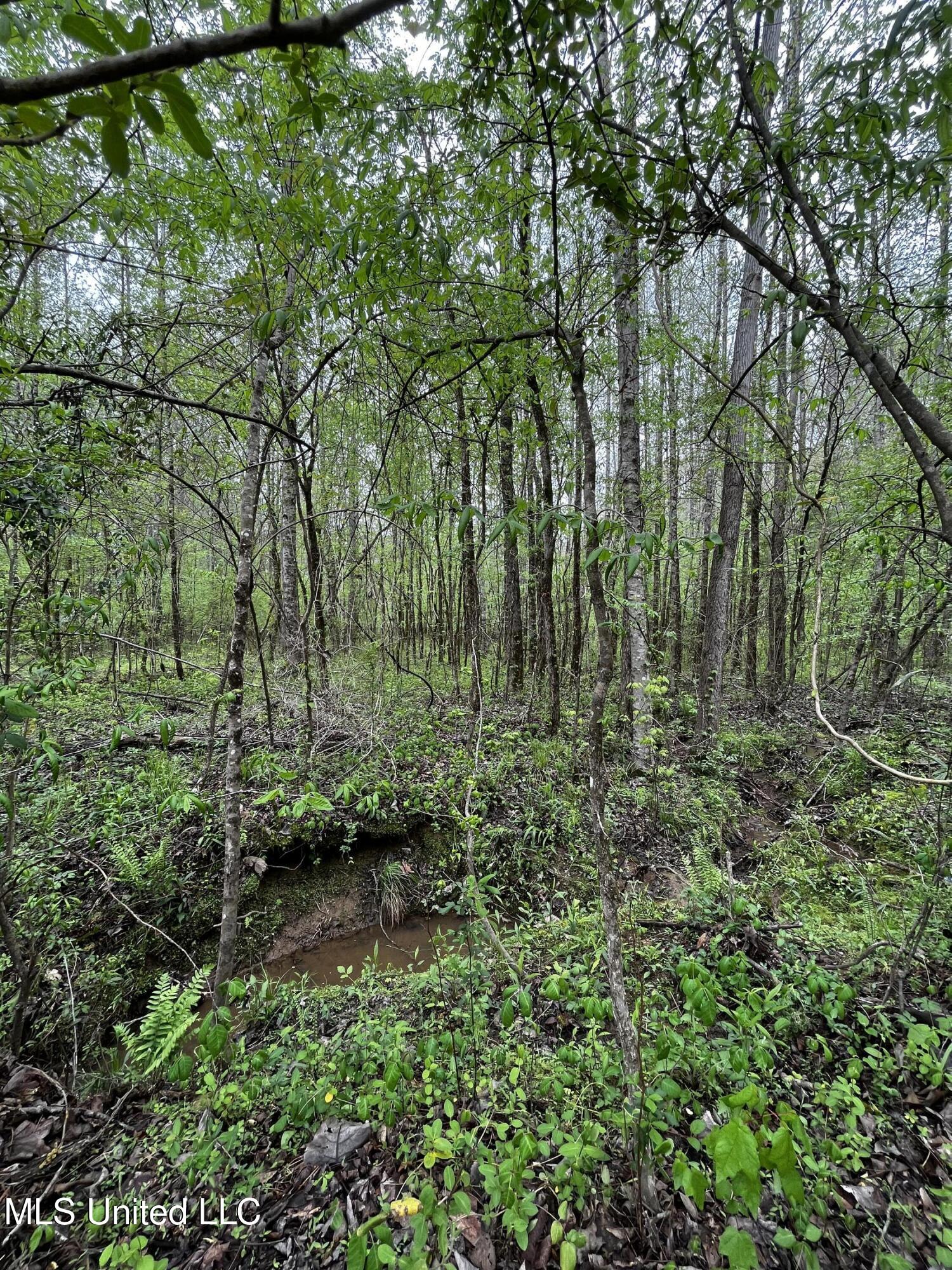 990 Conley Gore Springs, MS 38929 - Photo 8 of 8 D5D0284D-FDA4-4087-AA91-670F3FA34356