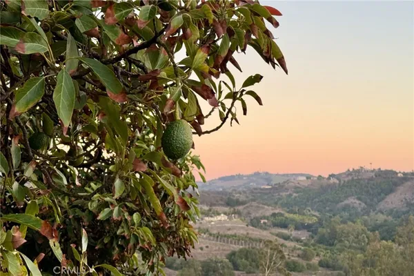 $3,750,000 | 43040 Vía Nariz, Temecula, CA 92590