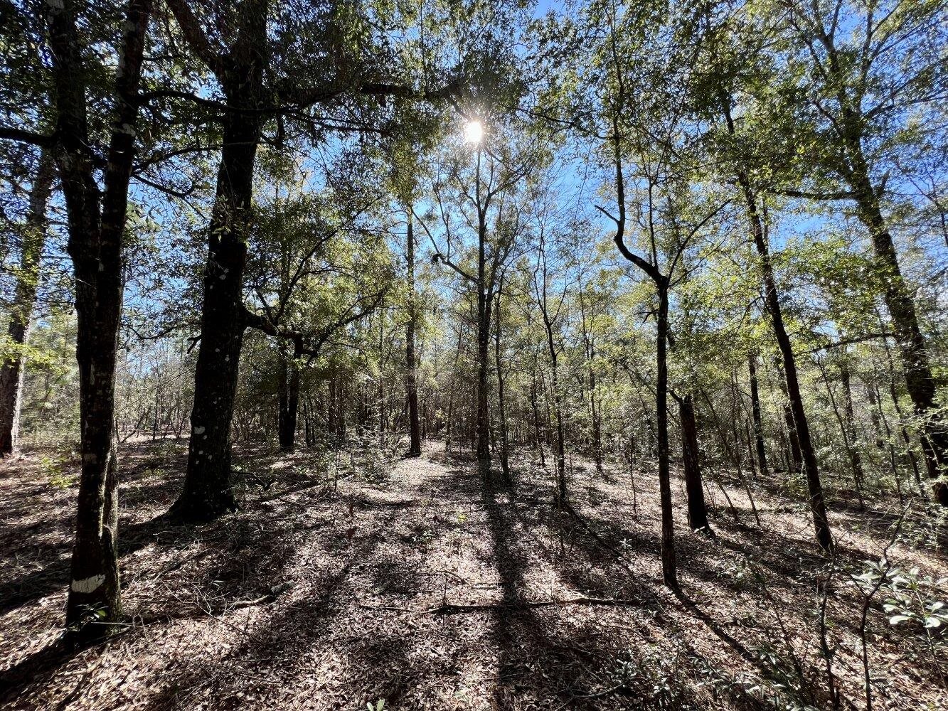 0 Dixon Road Bay Minette, AL 36507 - Photo 27 of 50