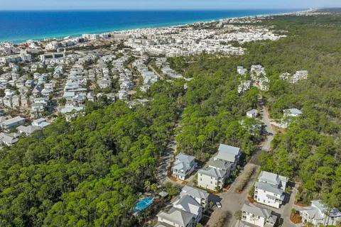 $1,650,000 | 171 Redbud Ln Inlet Beach, Inlet Beach, FL 32461