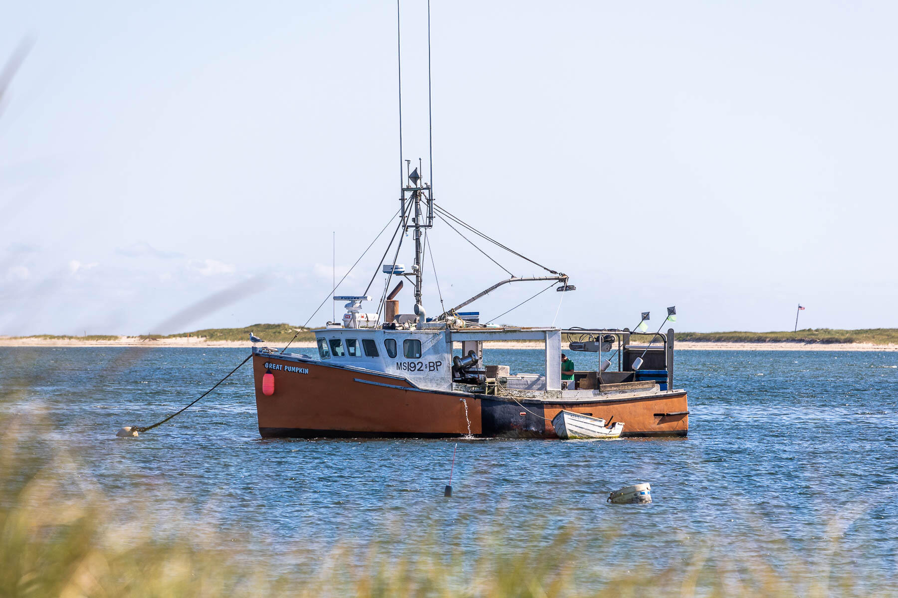 216 Shore Road Chatham, MA 02633 - Photo 17 of 88 598A2586