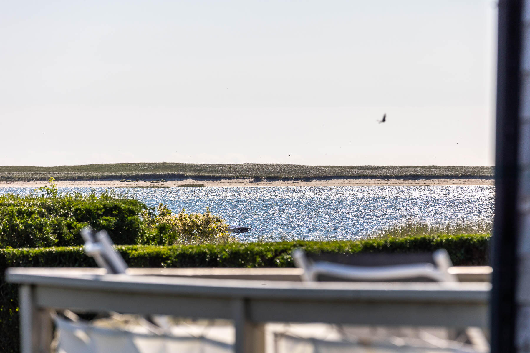 216 Shore Road Chatham, MA 02633 - Photo 29 of 88 598A2571