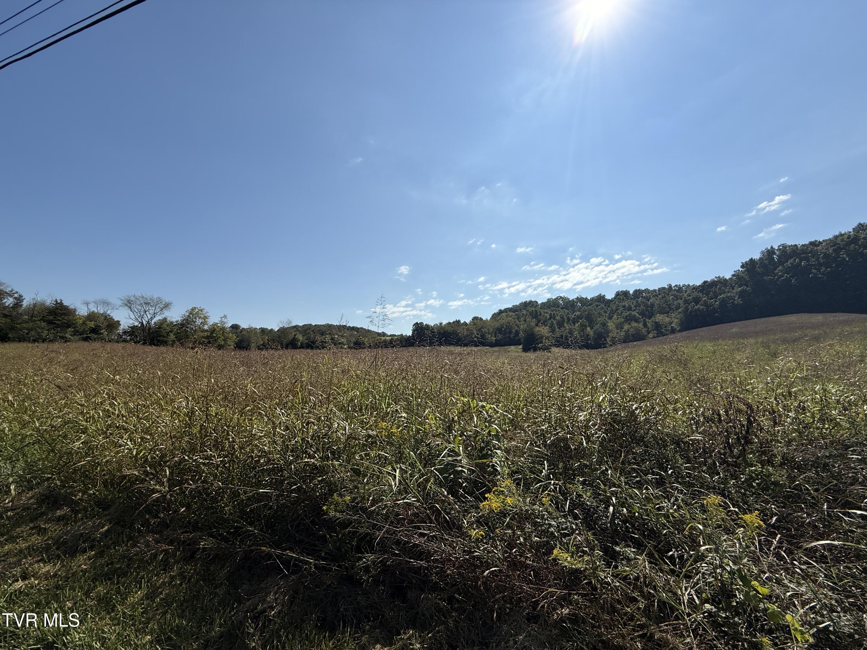 0 Old Snapps Ferry Road Chuckey, TN 37641 - Photo 11 of 12 IMG_8333