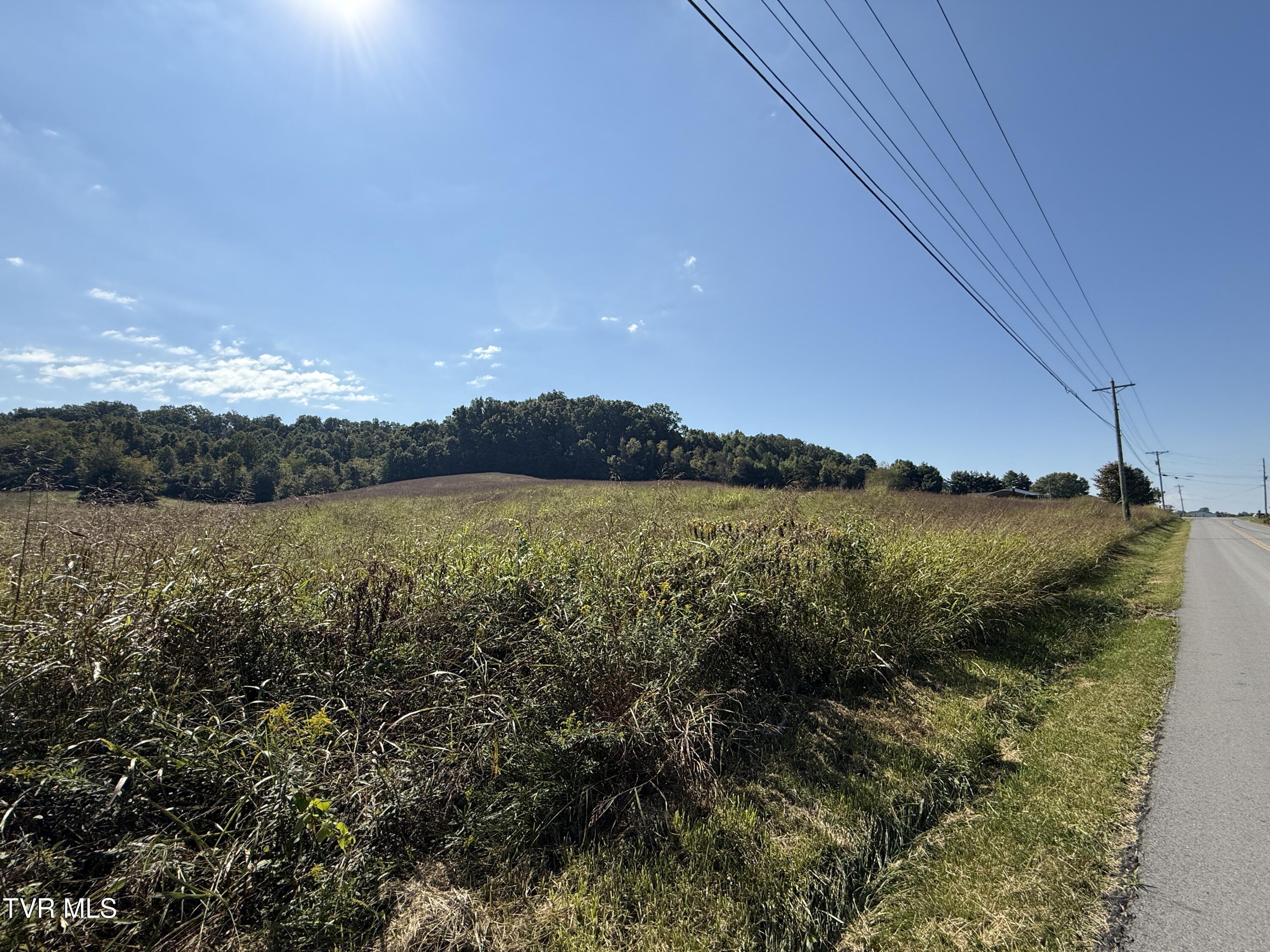 0 Old Snapps Ferry Road Chuckey, TN 37641 - Photo 12 of 12 IMG_8335