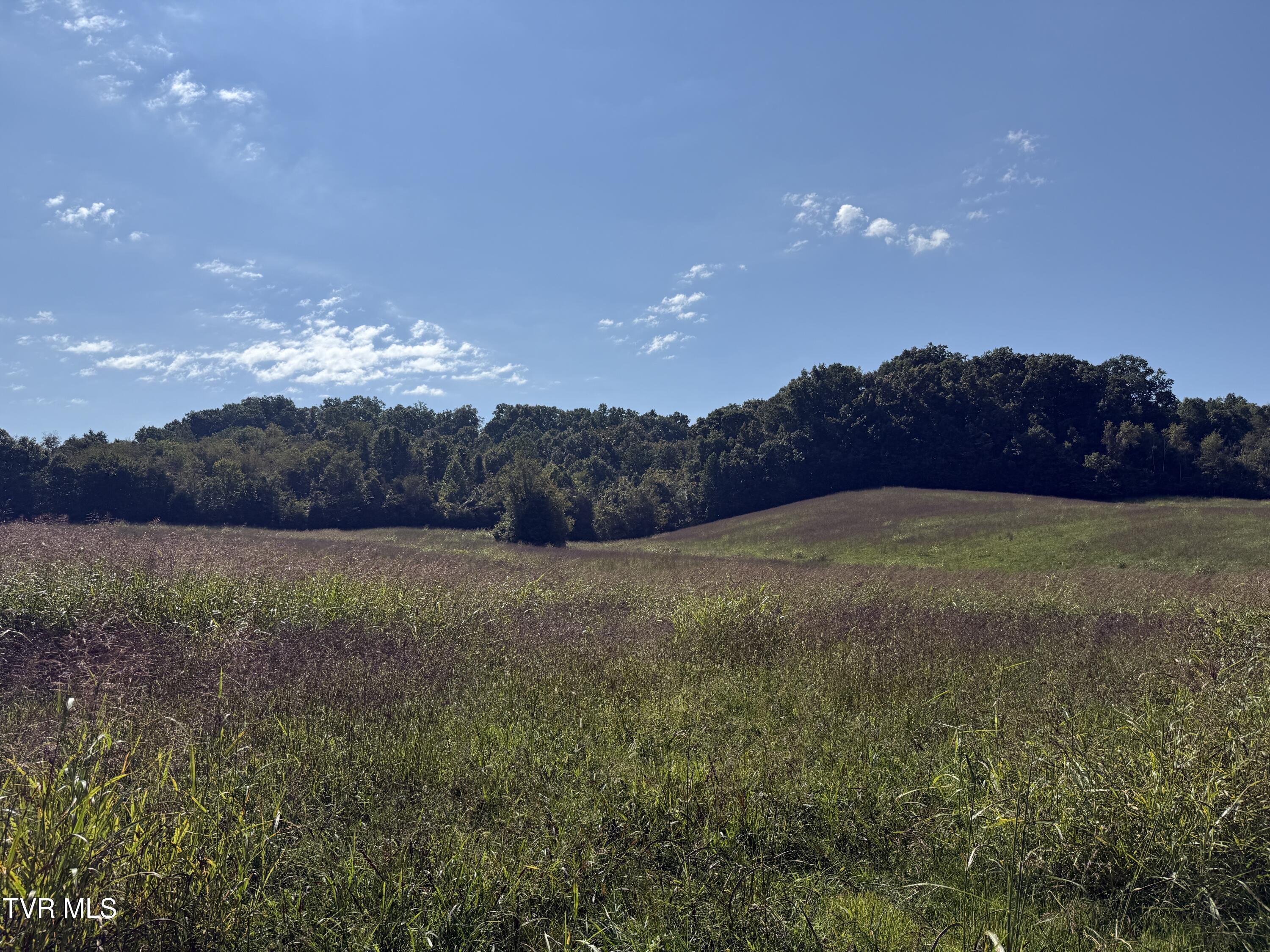 0 Old Snapps Ferry Road Chuckey, TN 37641 - Photo 5 of 12 IMG_8317