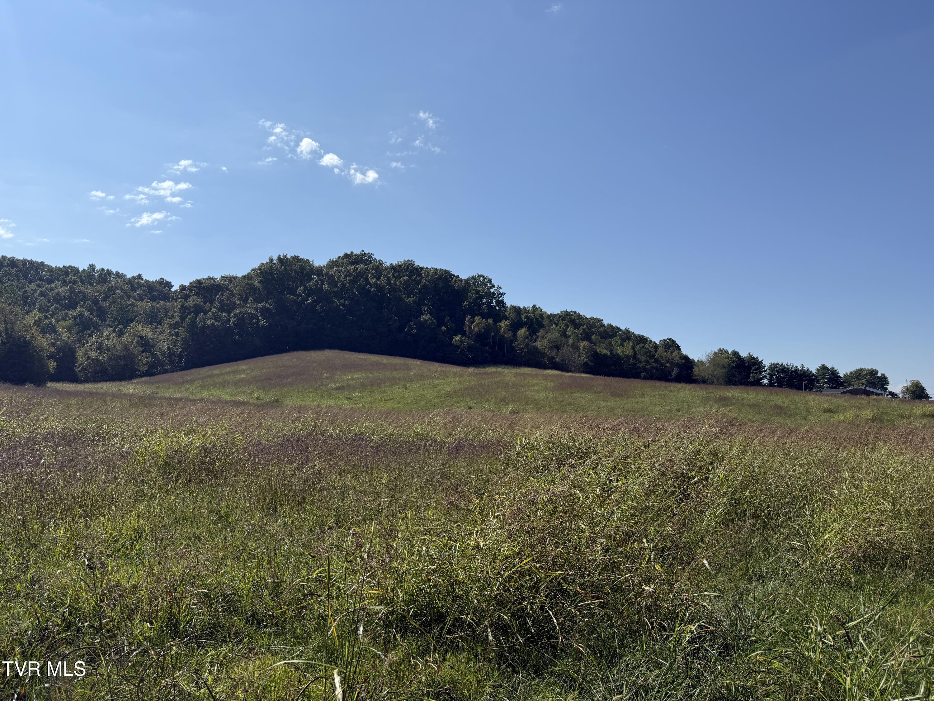 0 Old Snapps Ferry Road Chuckey, TN 37641 - Photo 6 of 12 IMG_8319