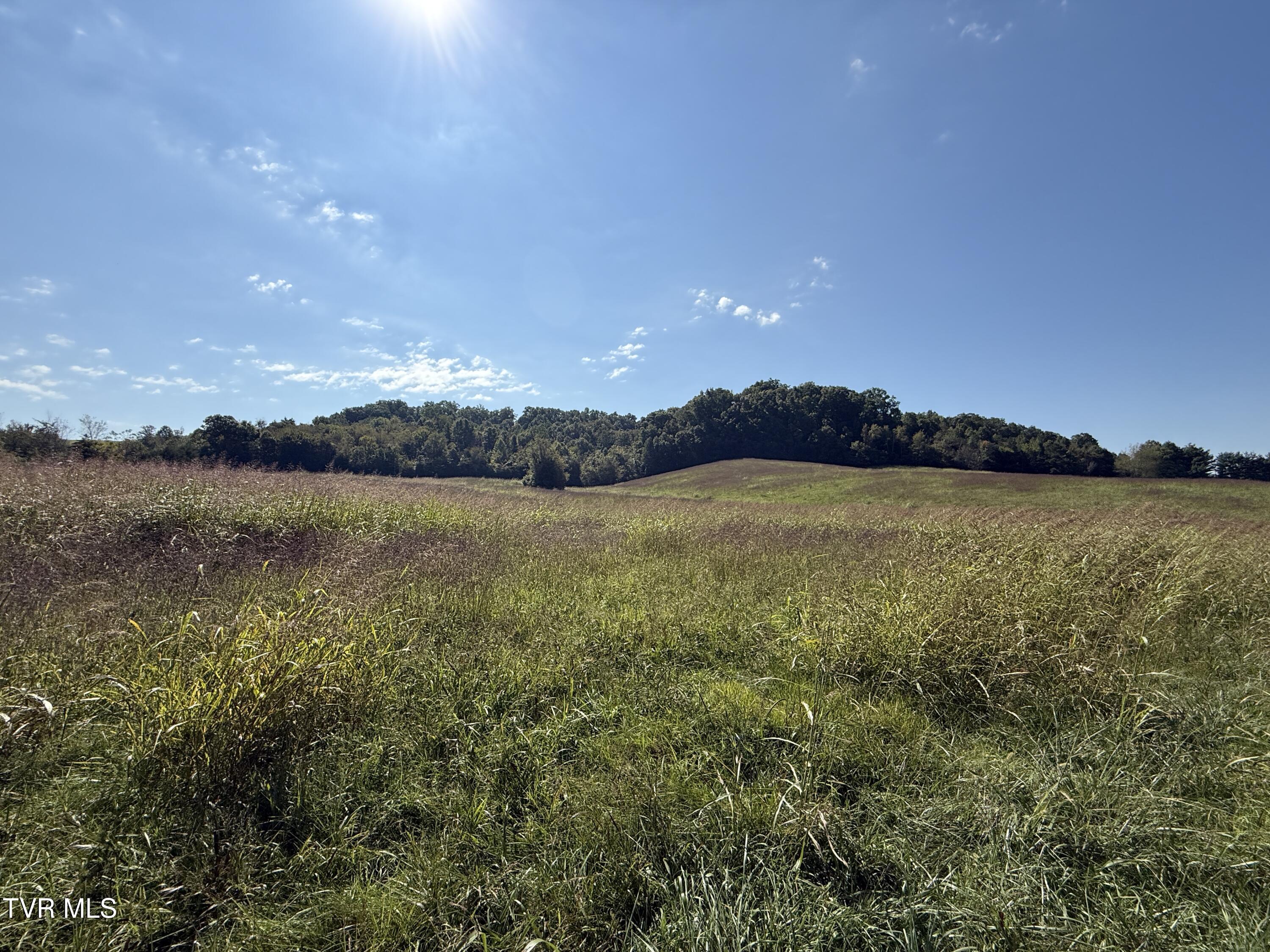 0 Old Snapps Ferry Road Chuckey, TN 37641 - Photo 7 of 12 IMG_8321