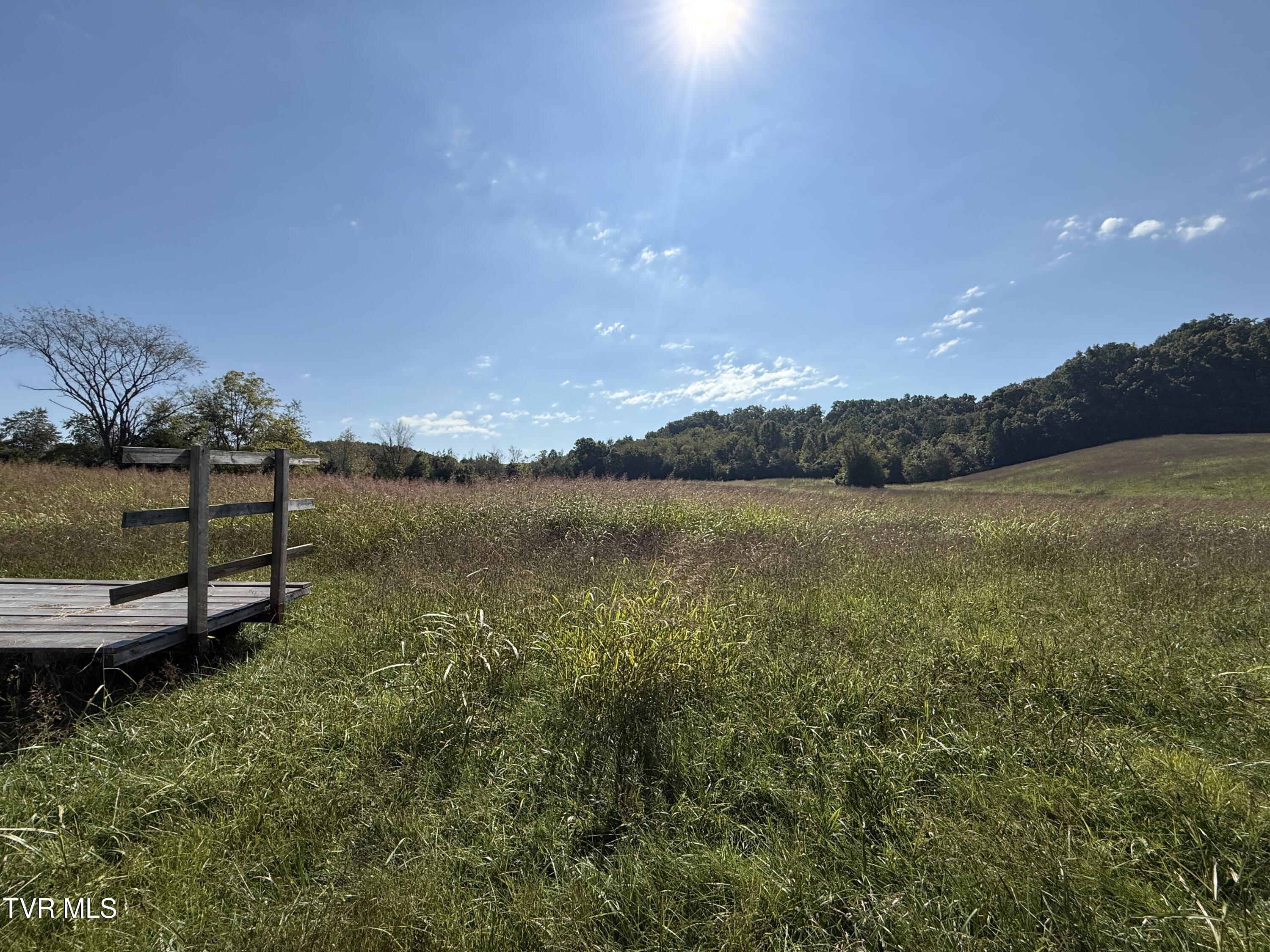 0 Old Snapps Ferry Road Chuckey, TN 37641 - Photo 8 of 12 IMG_8323