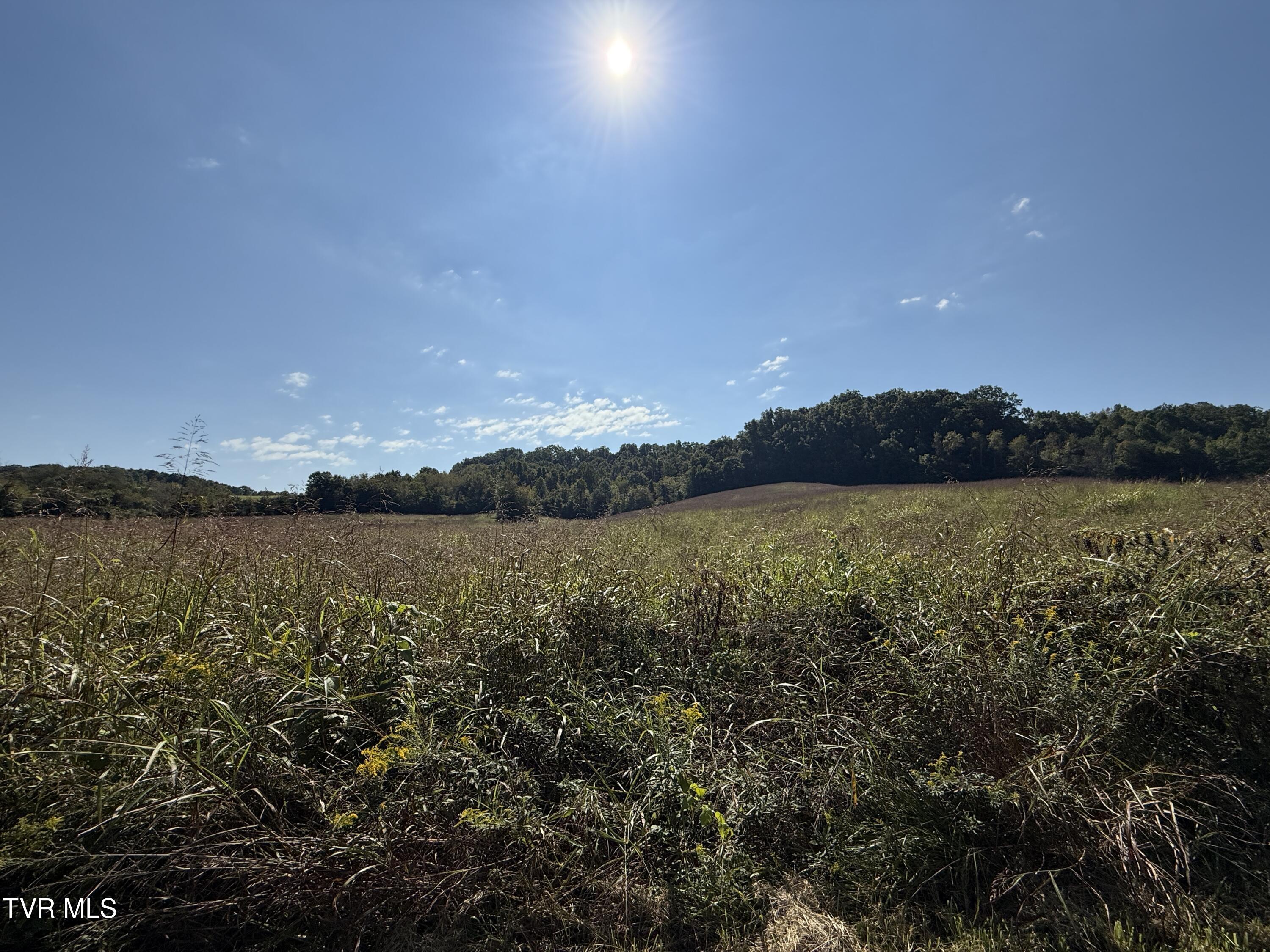 0 Old Snapps Ferry Road Chuckey, TN 37641 - Photo 10 of 12 IMG_8330