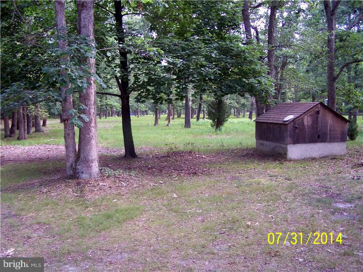 224 Friendship Road Southampton, NJ 08088 - Photo 3 of 11 a view of a yard with large trees