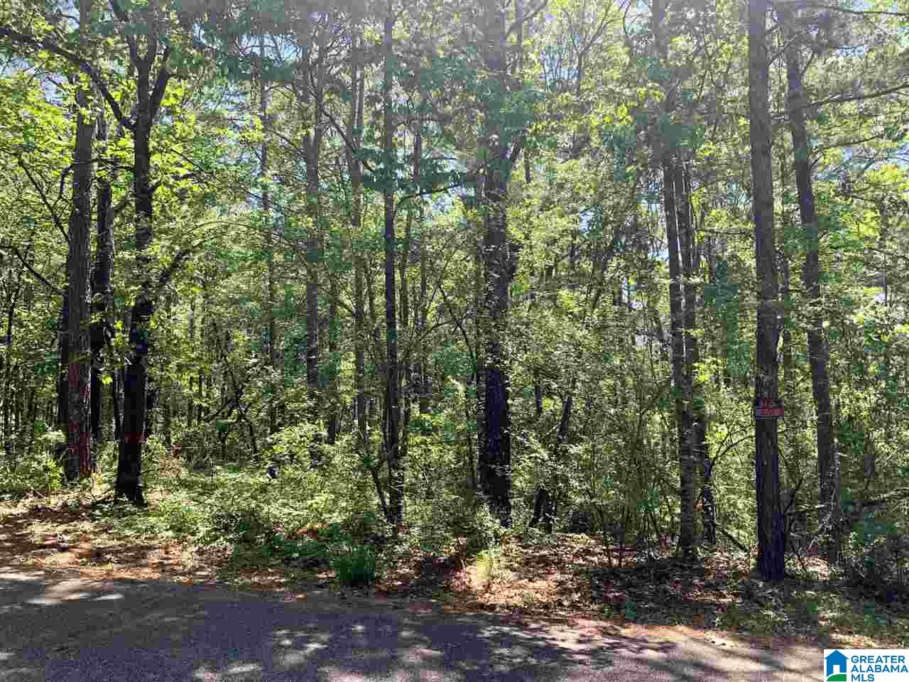 0 Mountain Ridge Road Trussville, AL 35173 - Photo 1 of 4