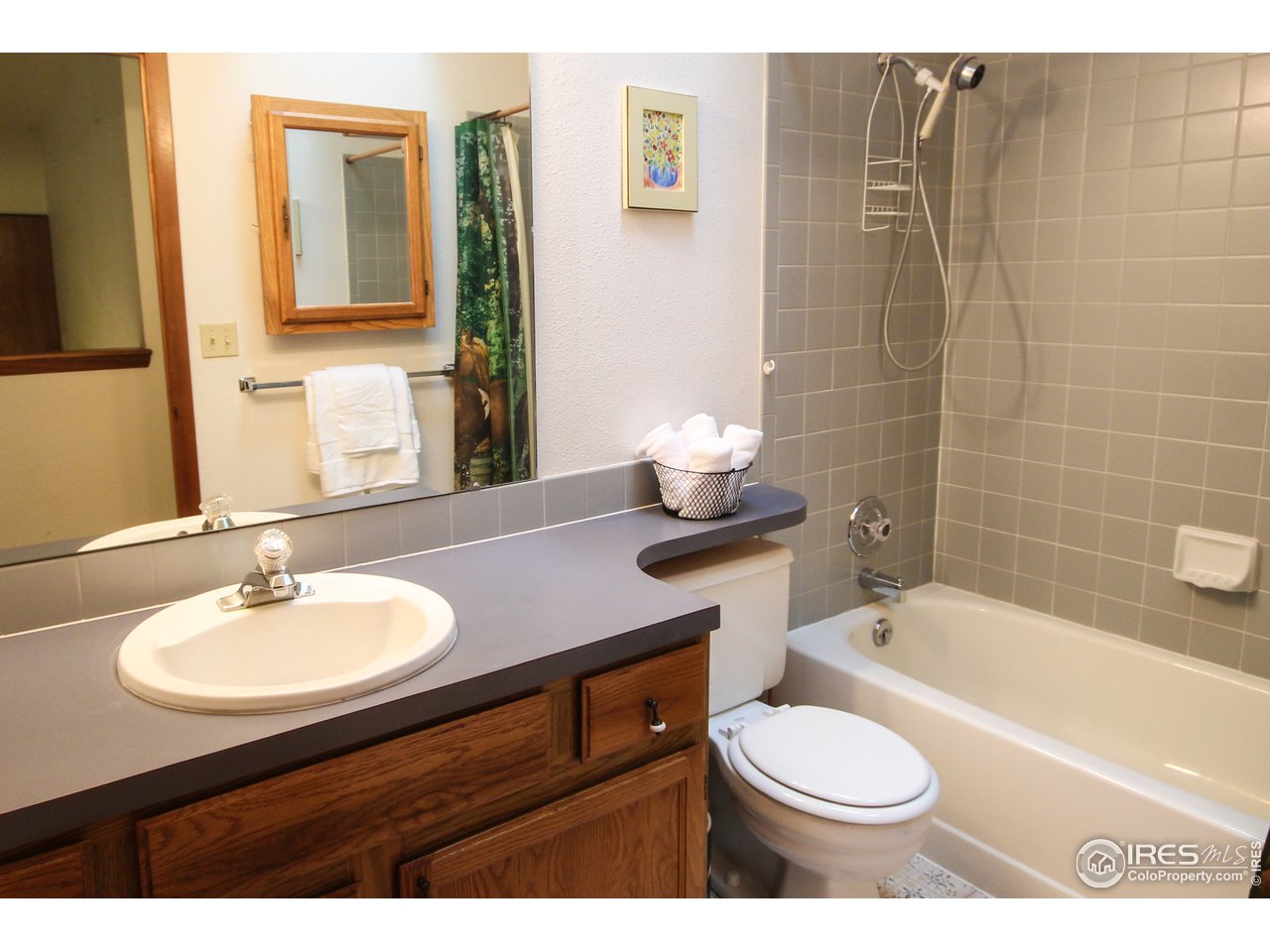 1655 West Swallow Road Fort Collins, CO 80526 - Photo 11 of 20 Full Bath On Main Floor