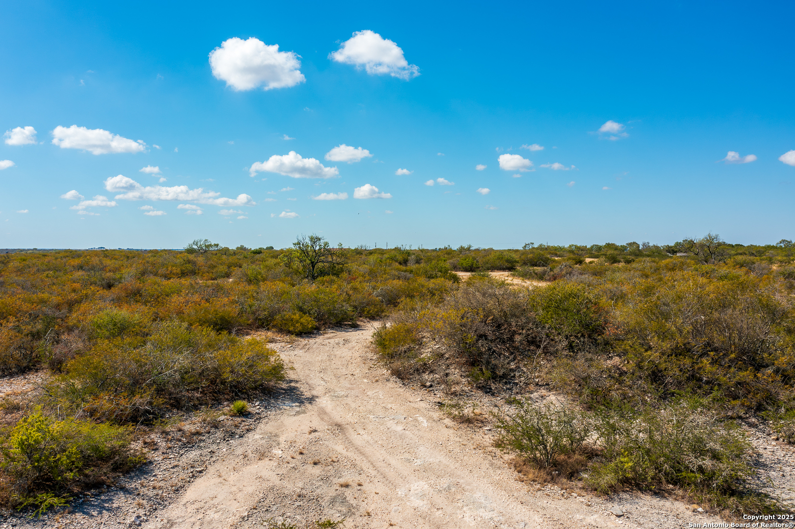 840 County Road 652 Devine, TX 78016 - Photo 5 of 9 a view of a lake with a mountain