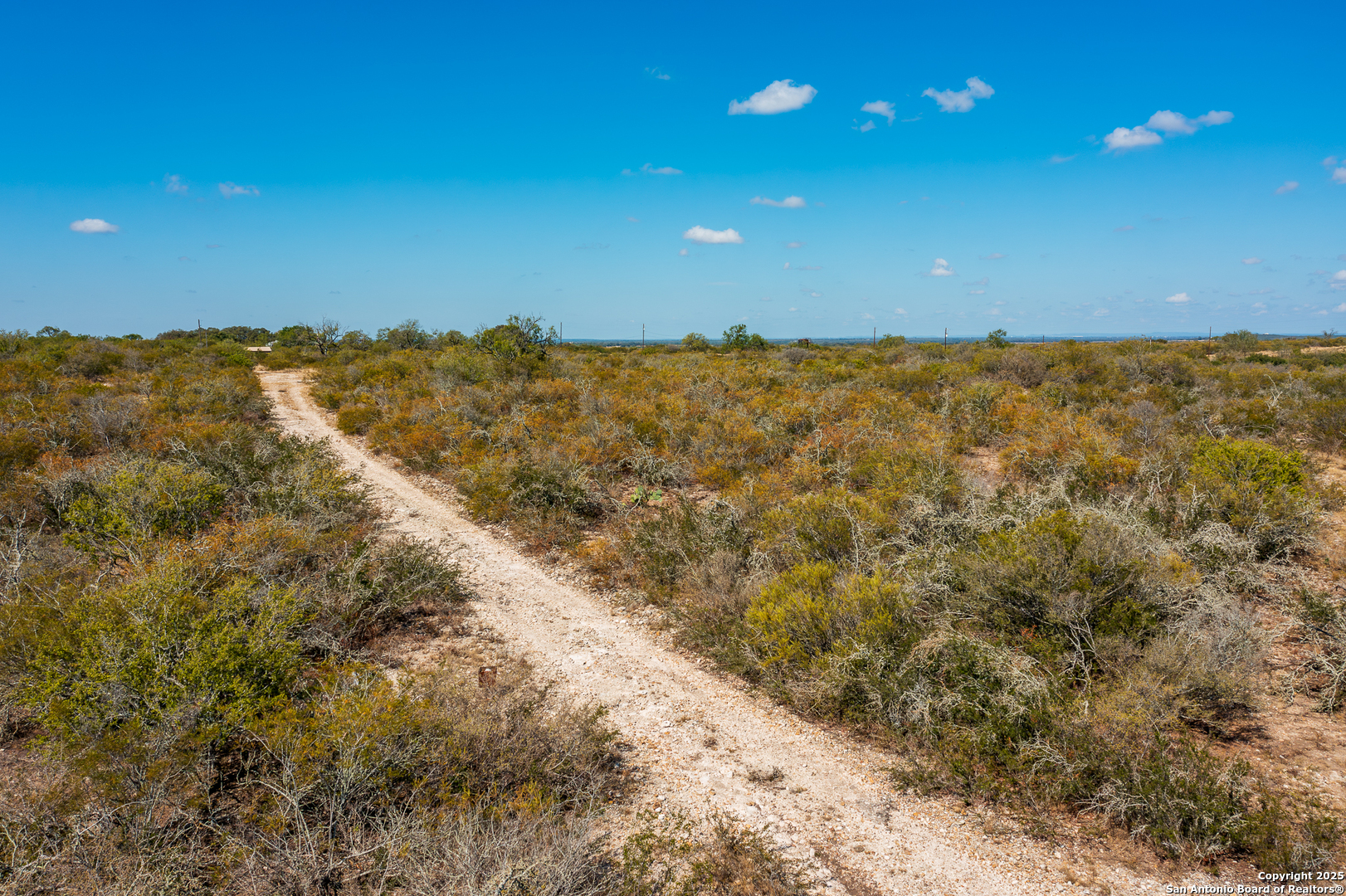 840 County Road 652 Devine, TX 78016 - Photo 6 of 9 a view of residential space and tree