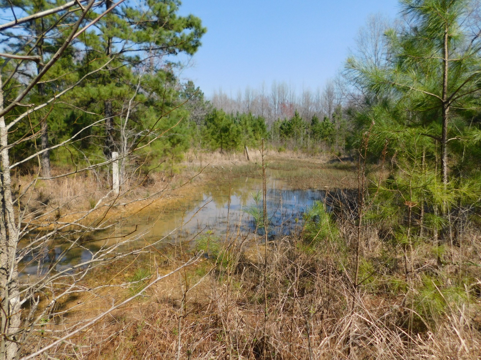 0 Hubert Manul Road Michie, TN 38357 - Photo 10 of 32