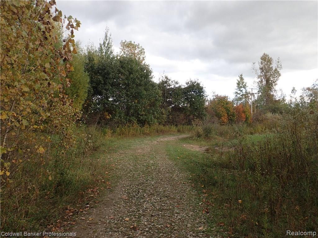 0 Dockham Road Columbiaville, MI 48421 - Photo 18 of 20