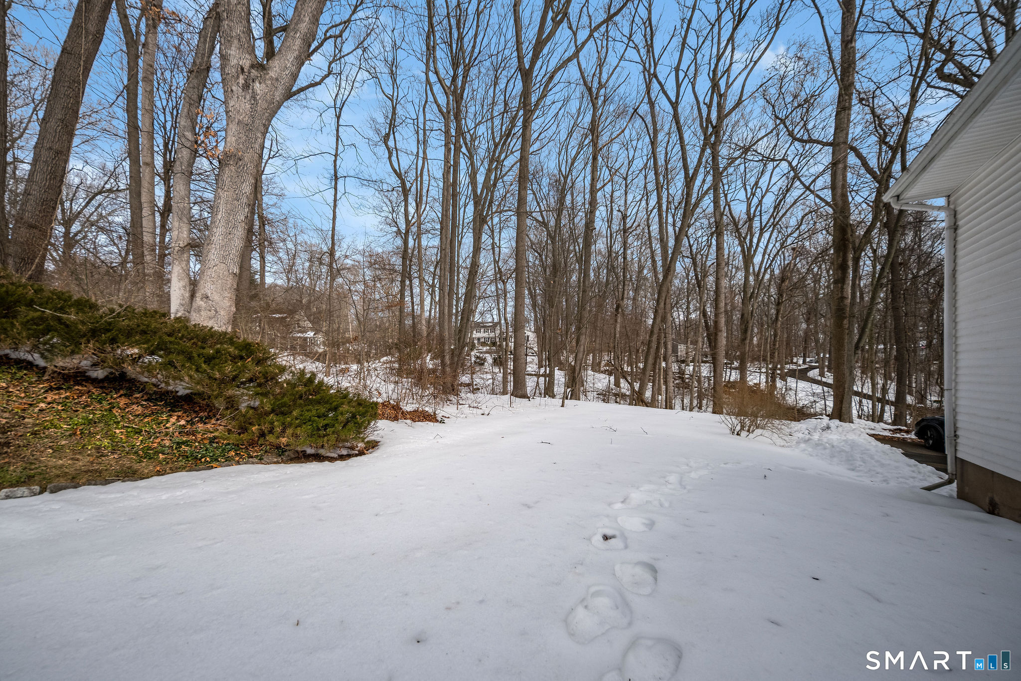 162 Yankee Peddler Path Madison, CT 06443 - Photo 33 of 39 a view of a tree with snow in front of it