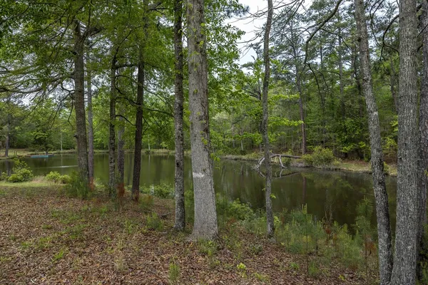 $749,900 | 520 Terry Lane, Fortson, GA 31808