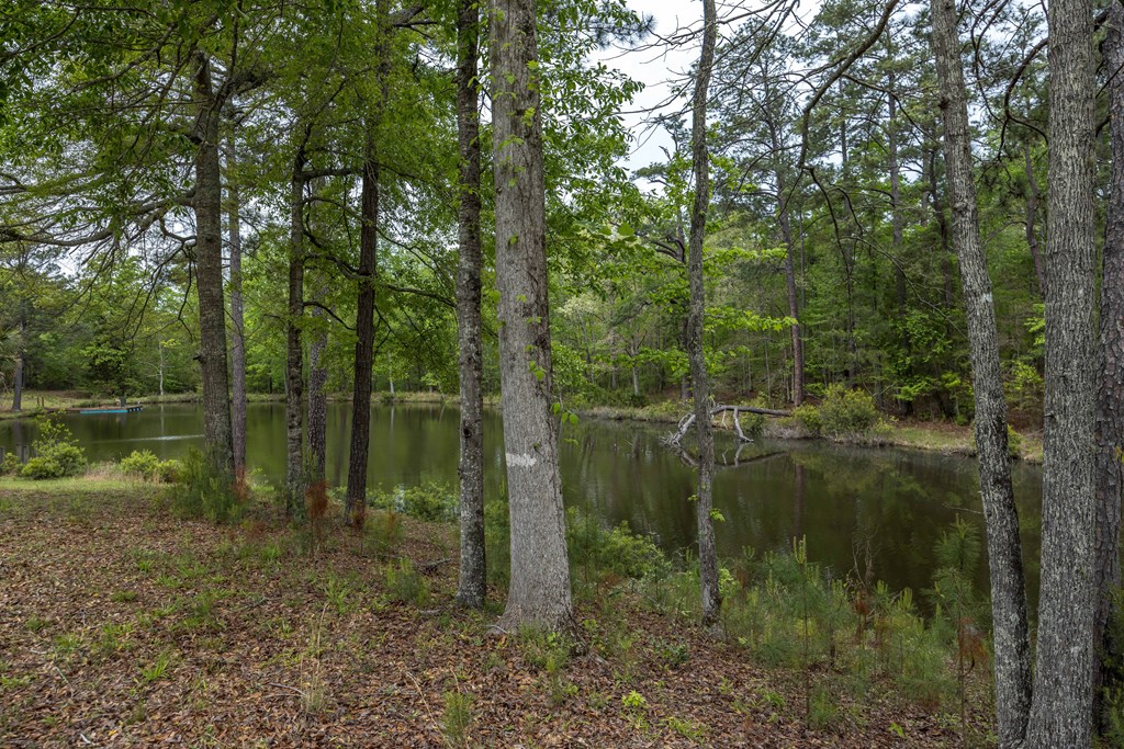 520 Terry Lane Fortson, GA 31808 - Photo 35 of 52 a view of a lake in a forest