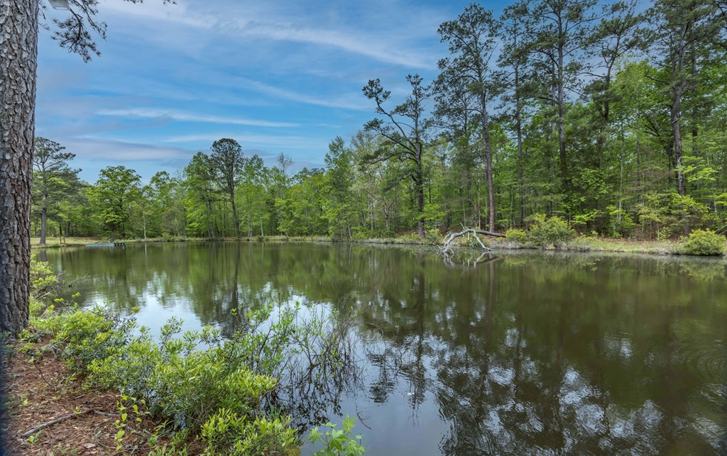 520 Terry Lane Fortson, GA 31808 - Photo 37 of 52 a view of lake