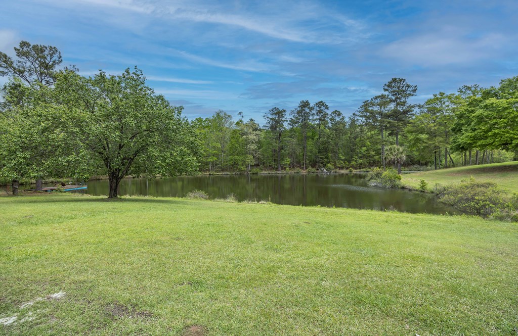 520 Terry Lane Fortson, GA 31808 - Photo 45 of 52 a view of a lake with a yard