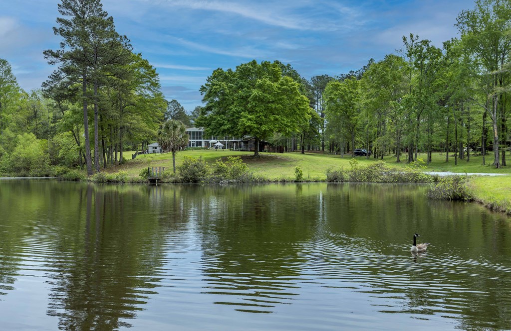 520 Terry Lane Fortson, GA 31808 - Photo 46 of 52