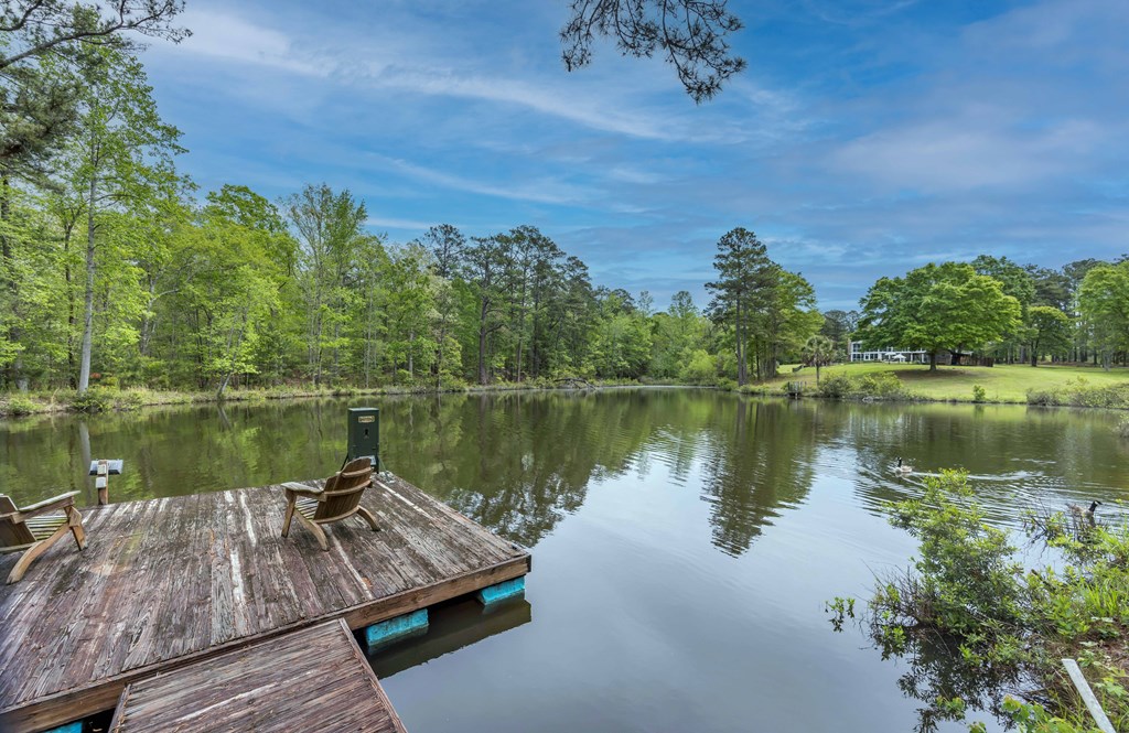 520 Terry Lane Fortson, GA 31808 - Photo 47 of 52 a view of a lake with a lake