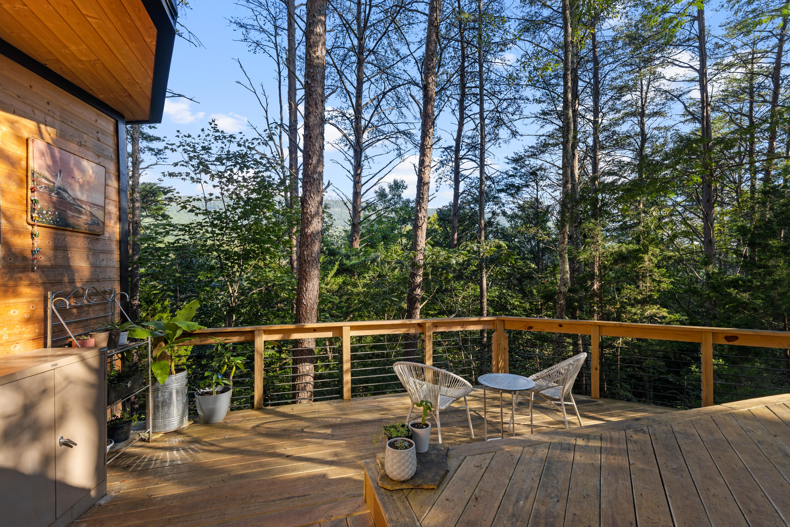 3584 Mason Road Rising Fawn, GA 30738 - Photo 11 of 84 Decking Over-looking the property