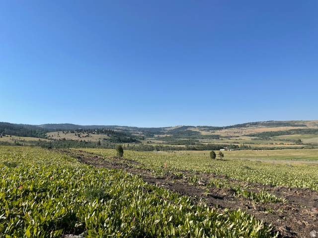 400 Maggi Road, Unit 4 Montpelier, ID 83254 - Photo 19 of 23