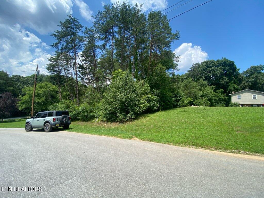 Lot 6 Scenic View Drive Rutledge, TN 37861 - Photo 5 of 7 IMG_6419
