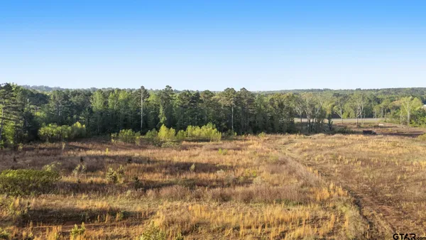 $1,495,000 | 11241 Highway 248 Spur, Tyler, TX 75707