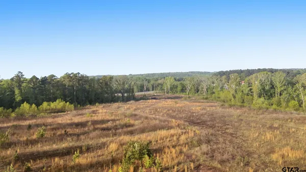 $1,495,000 | 11241 Highway 248 Spur, Tyler, TX 75707