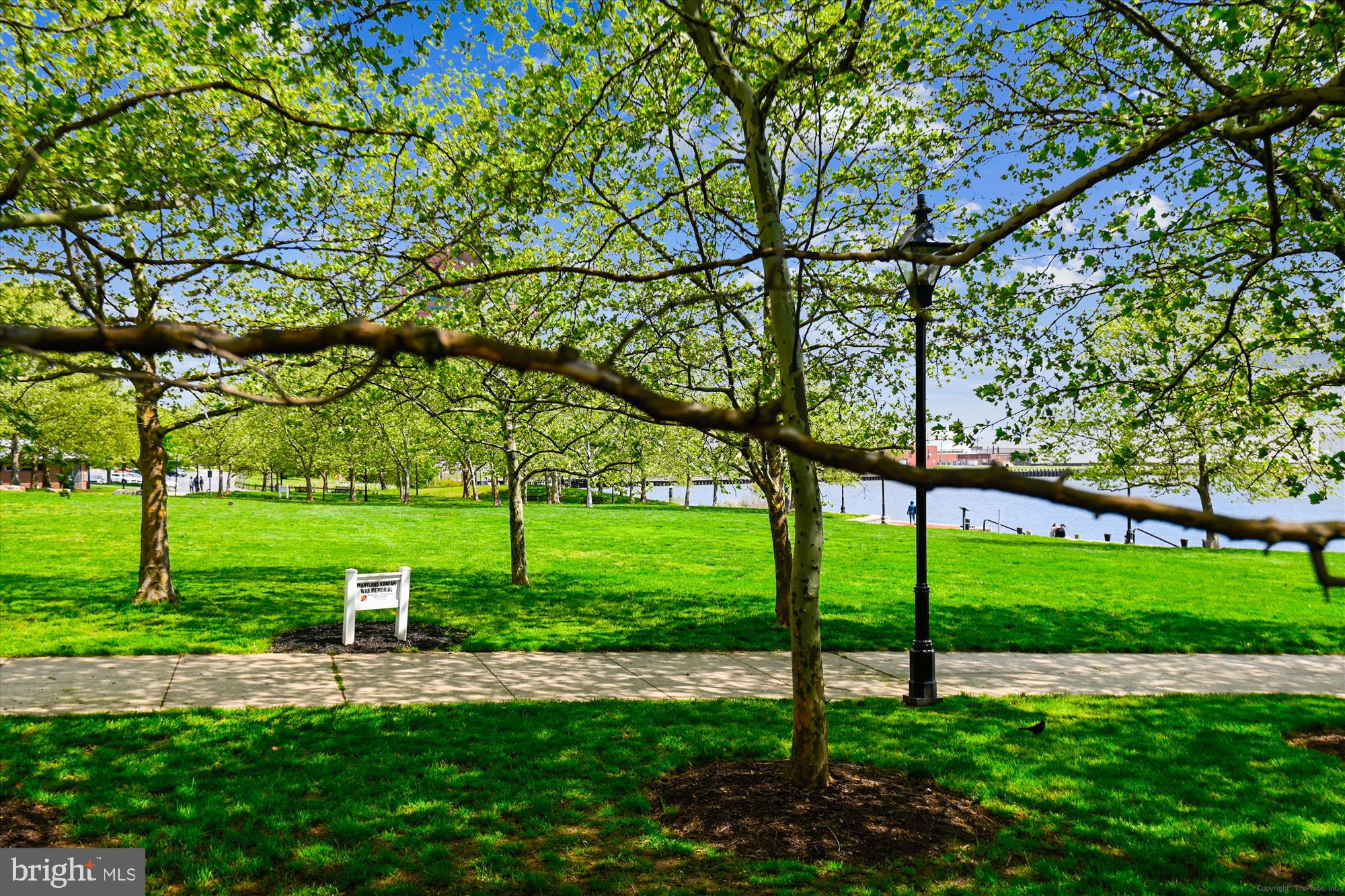 2901 Boston Street, Unit 206 Baltimore, MD 21224 - Photo 15 of 63 a view of a park with large trees