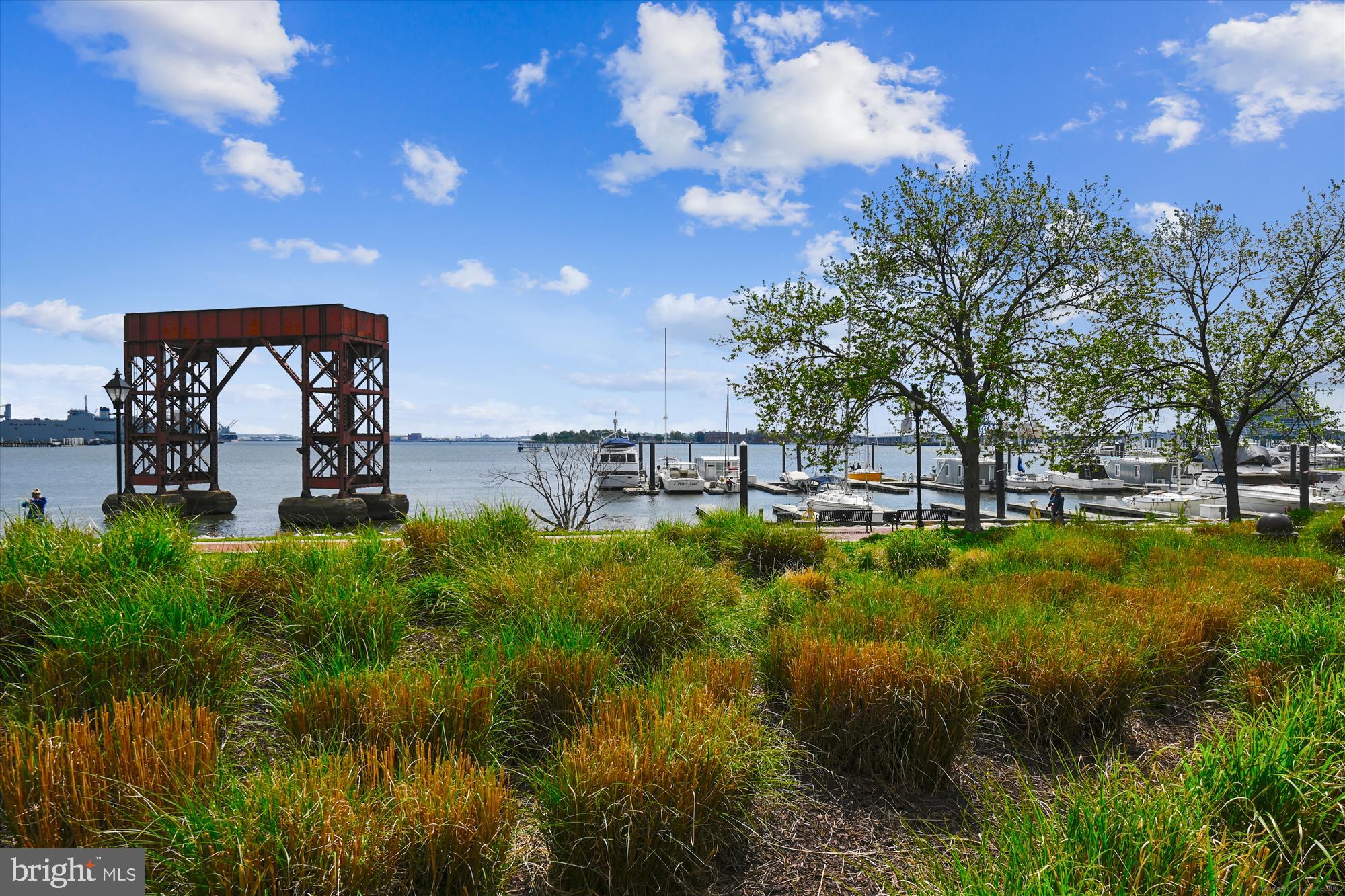 2901 Boston Street, Unit 206 Baltimore, MD 21224 - Photo 55 of 65 a view of a garden with a house in the background