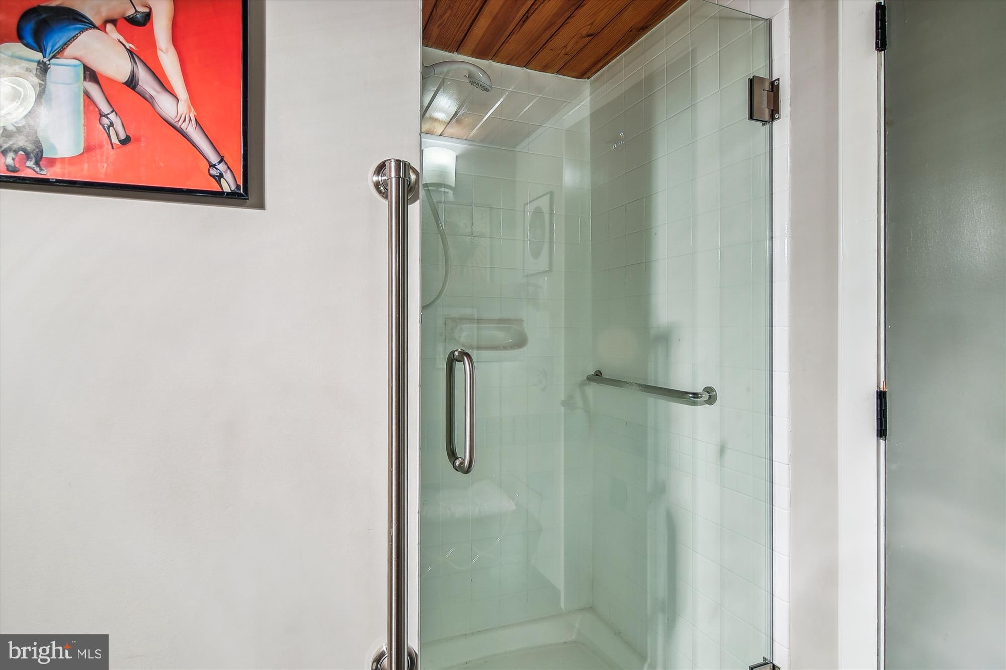 2901 Boston Street, Unit 206 Baltimore, MD 21224 - Photo 57 of 63 a bathroom with a shower and a sink