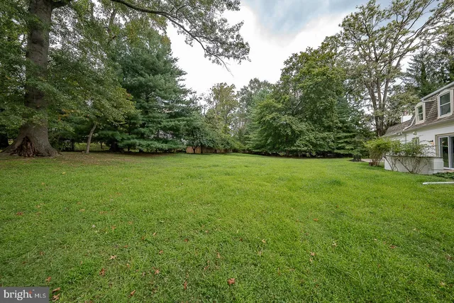 a view of a grassy field with trees in the background