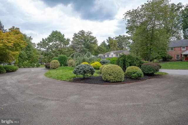 a view of a garden with plants