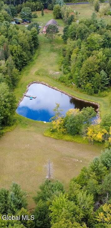 134 Rebisz Road Broadalbin, NY 12025 - Photo 5 of 78 Long shot