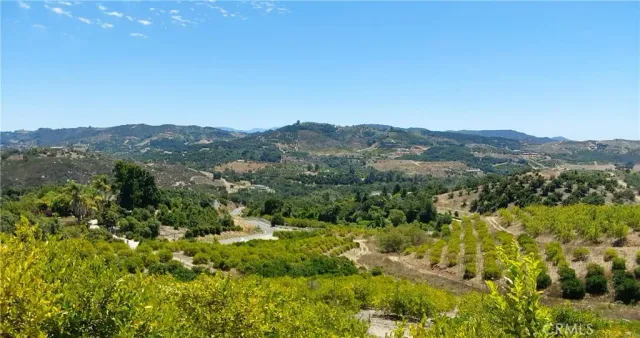 a view of a lush green forest with mountains in the background
