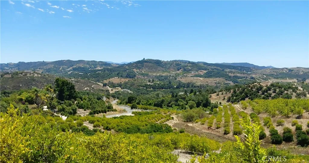 a view of a lush green forest with mountains in the background