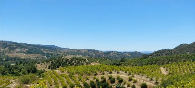 a view of a city with lush green forest