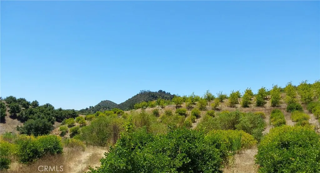5 De Anza Road Temecula, CA 92590 - Photo 16 of 28 a view of a large yard
