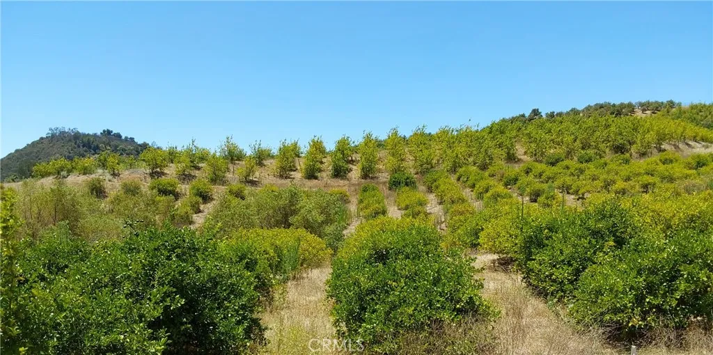5 De Anza Road Temecula, CA 92590 - Photo 17 of 28 a view of a large yard with lots of green space