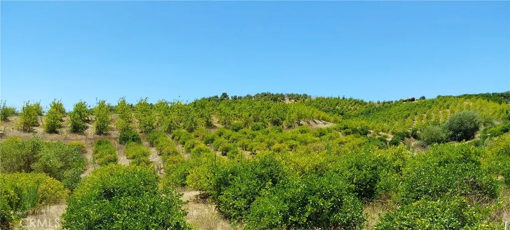 5 De Anza Road Temecula, CA 92590 - Photo 18 of 28 a view of a green field with lots of bushes